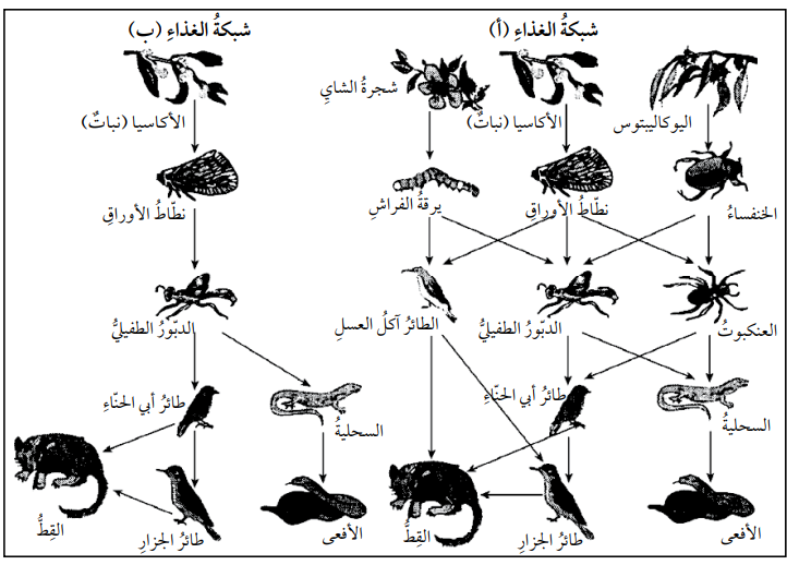 التنوع الحيوي مفتاح استمرار الحياة على سطح الأرض